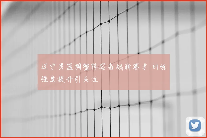 辽宁男篮调整阵容备战新赛季 训练强度提升引关注