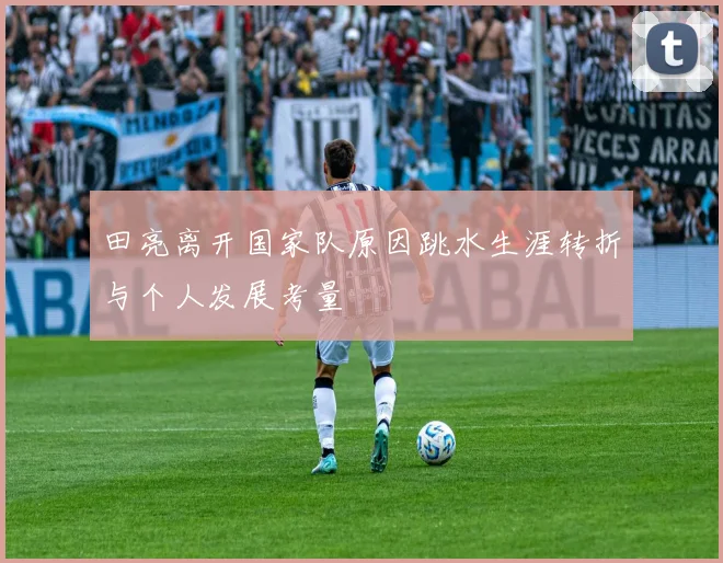 田亮离开国家队原因跳水生涯转折与个人发展考量