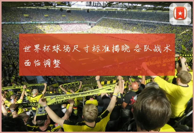 世界杯球场尺寸标准揭晓 各队战术面临调整