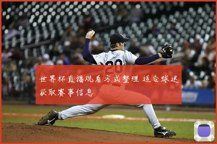 世界杯直播观看方式整理 适合球迷获取赛事信息