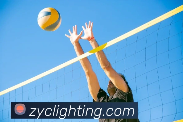 hth.com网页版发展历程